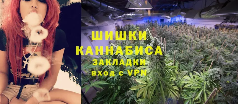 Канабис OG Kush  Дно 